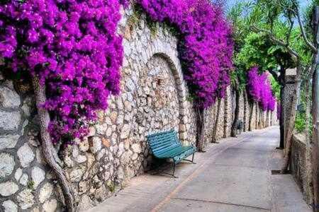 Gocce Villas - Sorrento Capo Light Blue Екстер'єр фото